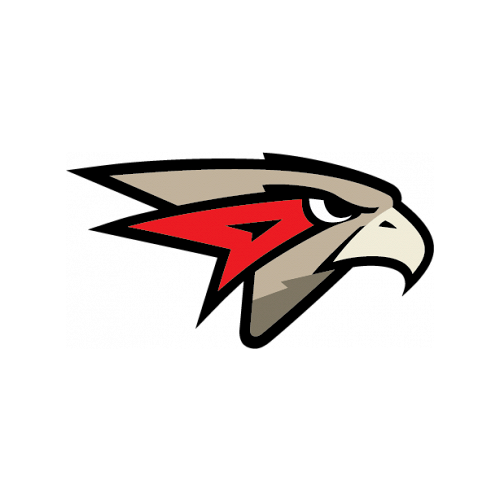 Логотип Авангард 2016