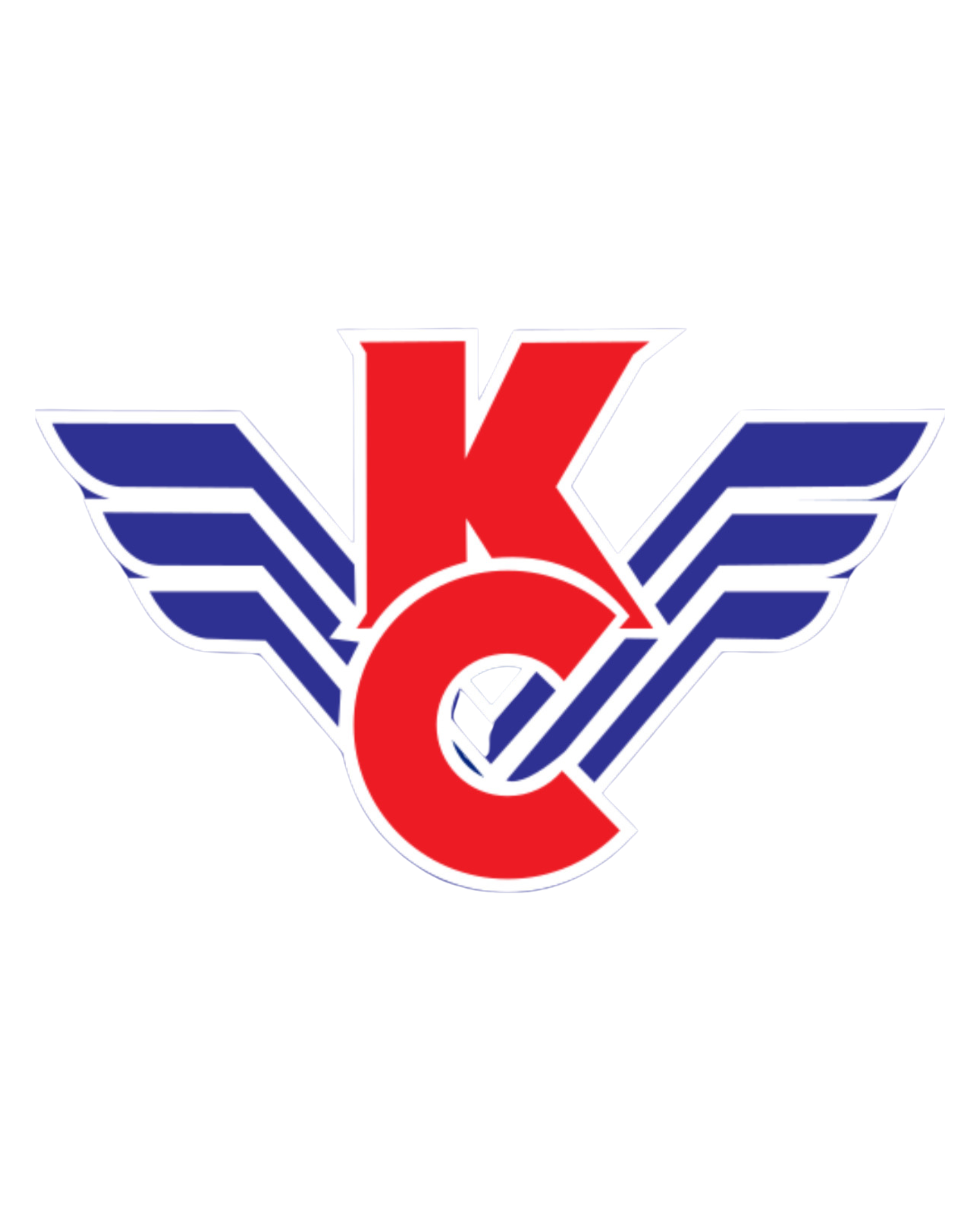 Логотип Крылья Советов 2009